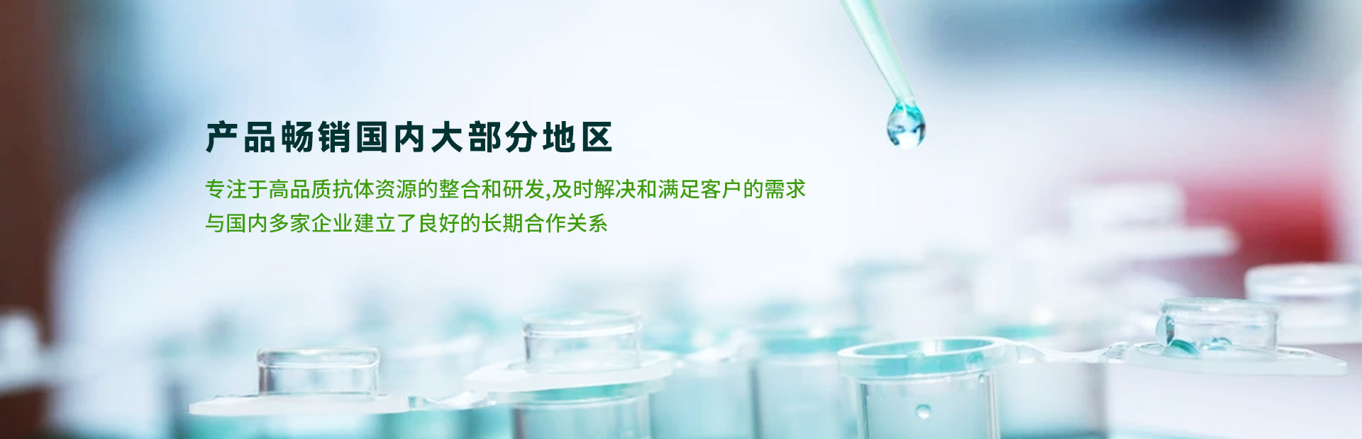 紙箱